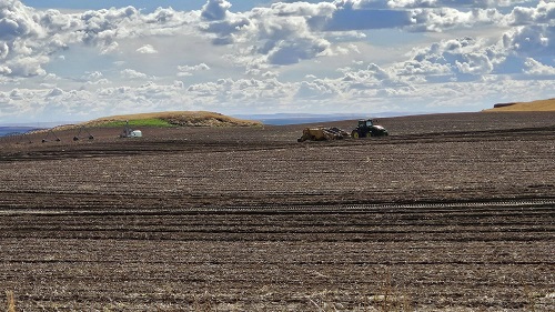 pottatoo harvest 2.jpg